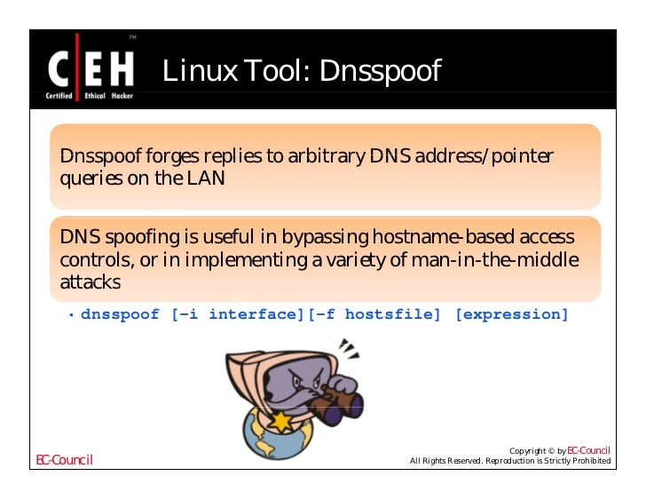 TÉLÉCHARGER TREEWALK DNS SERVER DNS TÉLÉCHARGER SERVER TREEWALK